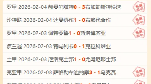德甲赛事：于帕梅卡诺被红牌罚下，斯托格点球得分