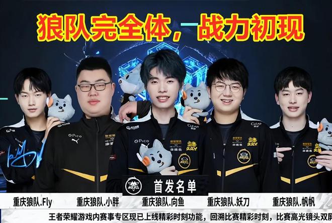 匹克球这项